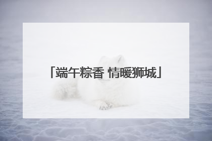 端午粽香 情暖狮城