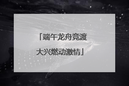 端午龙舟竞渡 大兴燃动激情