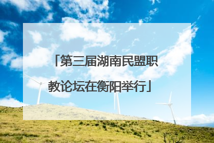 第三届湖南民盟职教论坛在衡阳举行