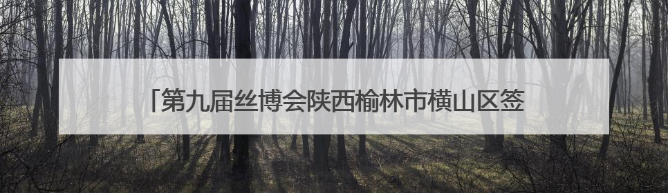 第九届丝博会陕西榆林市横山区签约19个项目 总投资203亿元