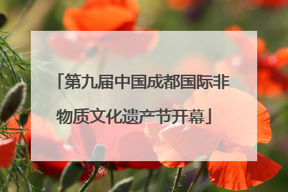 第九届中国成都国际非物质文化遗产节开幕