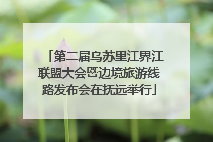 第二届乌苏里江界江联盟大会暨边境旅游线路发布会在抚远举行