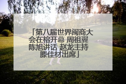 第八届世界闽商大会在榕开幕 周祖翼陈旭讲话 赵龙主持 滕佳材出席
