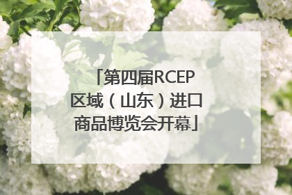 第四届RCEP区域（山东）进口商品博览会开幕