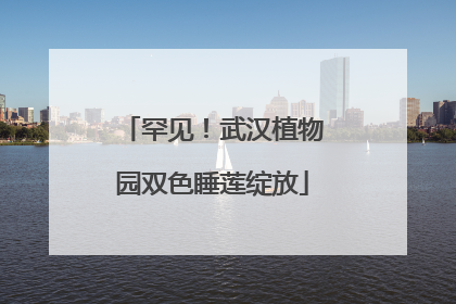 罕见！武汉植物园双色睡莲绽放