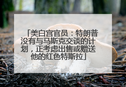 美白宫官员：特朗普没有与马斯克交谈的计划，正考虑出售或赠送他的红色特斯拉
