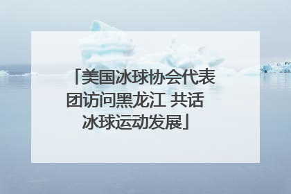 美国冰球协会代表团访问黑龙江 共话冰球运动发展