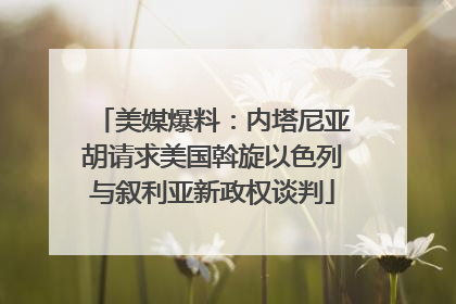 美媒爆料：内塔尼亚胡请求美国斡旋以色列与叙利亚新政权谈判