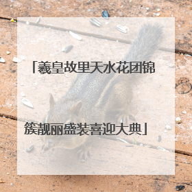 羲皇故里天水花团锦簇靓丽盛装喜迎大典