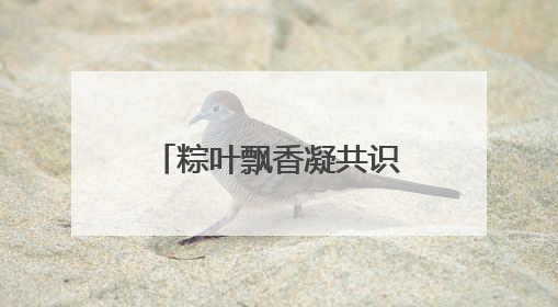粽叶飘香凝共识！淳安县大墅镇开展端午特色活动