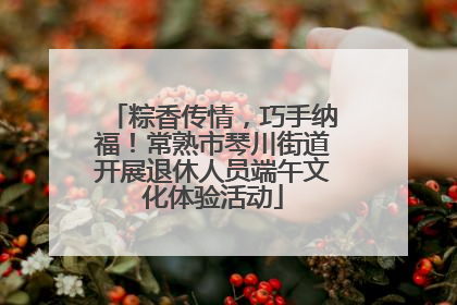粽香传情，巧手纳福！常熟市琴川街道开展退休人员端午文化体验活动