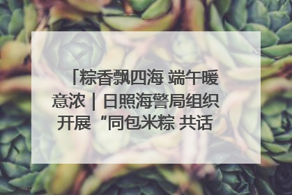 粽香飘四海 端午暖意浓｜日照海警局组织开展“同包米粽 共话端午”系列活动