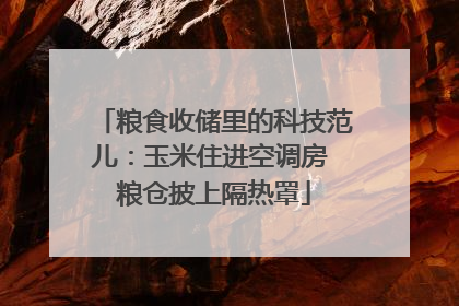 粮食收储里的科技范儿：玉米住进空调房 粮仓披上隔热罩