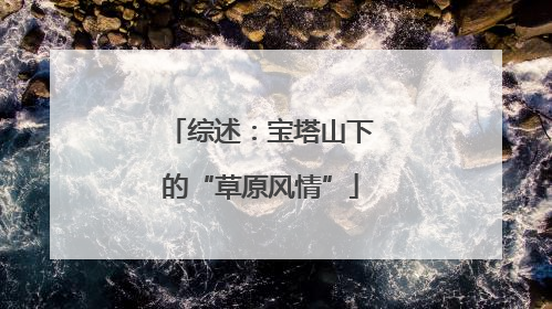 综述：宝塔山下的“草原风情”