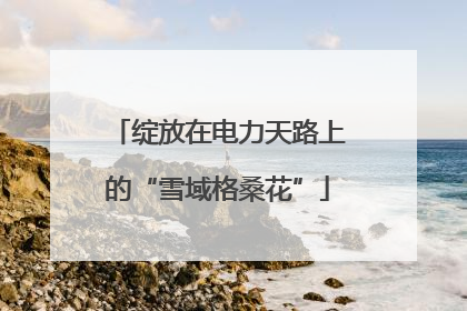 绽放在电力天路上的“雪域格桑花”