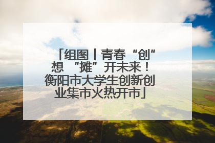 组图丨青春“创”想 “摊”开未来！衡阳市大学生创新创业集市火热开市