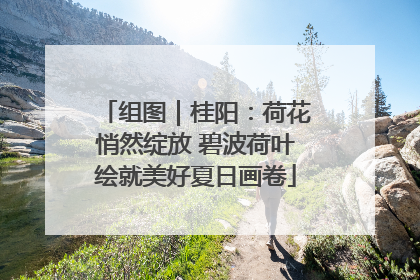 组图｜桂阳：荷花悄然绽放 碧波荷叶绘就美好夏日画卷
