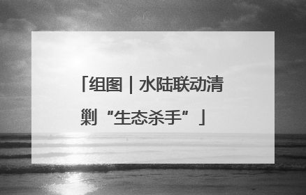 组图｜水陆联动清剿“生态杀手”