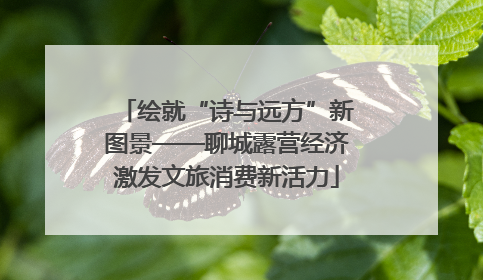 绘就“诗与远方”新图景——聊城露营经济激发文旅消费新活力
