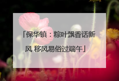 保华镇：粽叶飘香话新风 移风易俗过端午