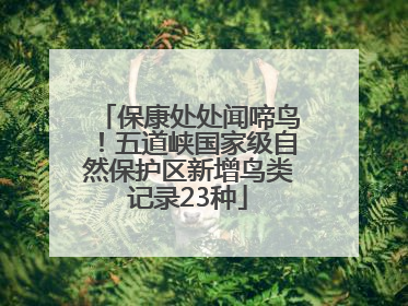 保康处处闻啼鸟！五道峡国家级自然保护区新增鸟类记录23种