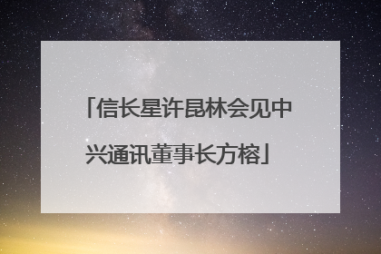 信长星许昆林会见中兴通讯董事长方榕