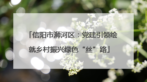 信阳市浉河区：党建引领绘就乡村振兴绿色“丝”路