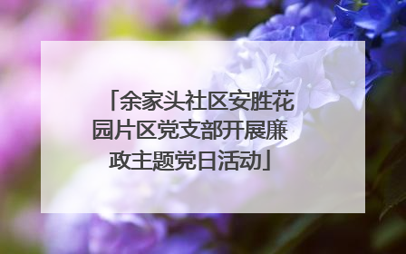 余家头社区安胜花园片区党支部开展廉政主题党日活动