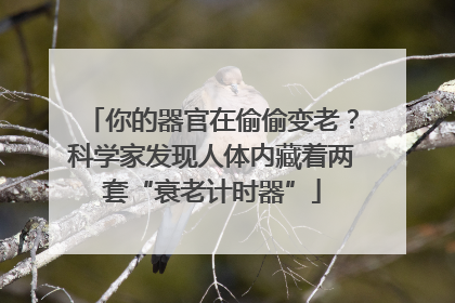 你的器官在偷偷变老？科学家发现人体内藏着两套“衰老计时器”