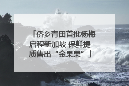 侨乡青田首批杨梅启程新加坡 保鲜提质售出“金果果”