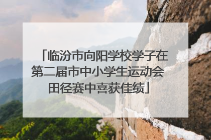 临汾市向阳学校学子在第二届市中小学生运动会田径赛中喜获佳绩