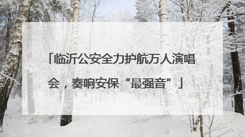临沂公安全力护航万人演唱会，奏响安保“最强音”