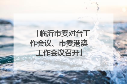 临沂市委对台工作会议、市委港澳工作会议召开