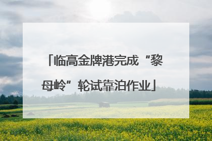 临高金牌港完成“黎母岭”轮试靠泊作业