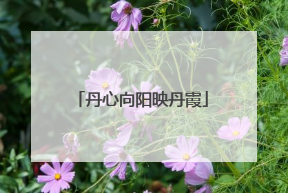 丹心向阳映丹霞