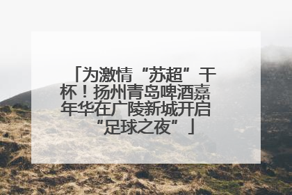 为激情“苏超”干杯！扬州青岛啤酒嘉年华在广陵新城开启“足球之夜”