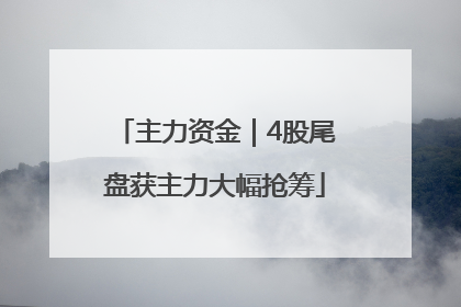 主力资金｜4股尾盘获主力大幅抢筹