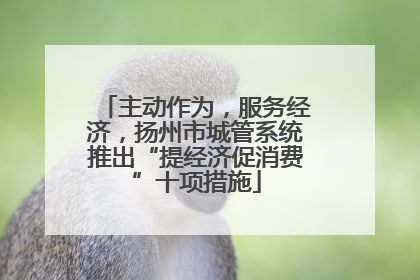 主动作为，服务经济，扬州市城管系统推出“提经济促消费”十项措施