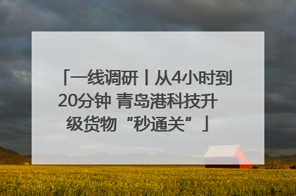 一线调研丨从4小时到20分钟 青岛港科技升级货物“秒通关”