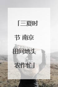 三夏时节 南京田间地头农作忙