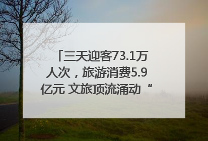 三天迎客73.1万人次，旅游消费5.9亿元 文旅顶流涌动“江宁style”