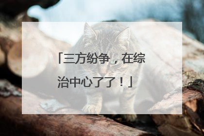 三方纷争，在综治中心了了！