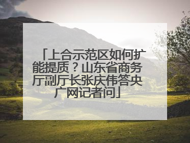 上合示范区如何扩能提质？山东省商务厅副厅长张庆伟答央广网记者问