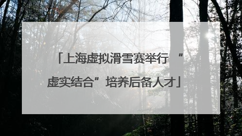 上海虚拟滑雪赛举行 “虚实结合”培养后备人才