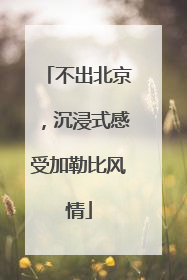 不出北京，沉浸式感受加勒比风情