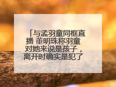 与孟羽童同框直播 董明珠称羽童对她来说是孩子，离开时确实是犯了很大的错