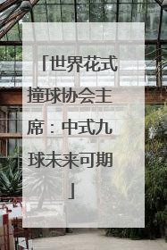 世界花式撞球协会主席：中式九球未来可期