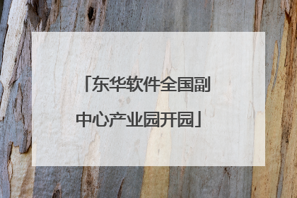东华软件全国副中心产业园开园