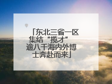 东北三省一区集结“揽才” 逾八千海内外博士奔赴而来