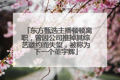 东方甄选主播顿顿离职，曾因公司推掉其综艺邀约而失望，被称为下一个董宇辉